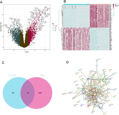Ferroptosis-related biomarkers for adamantinomatous craniopharyngioma treatment: conclusions from machine learning techniques